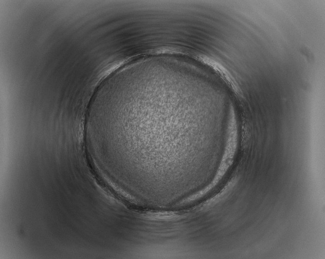 X0000116780833200912311856