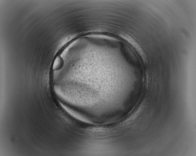 X0000116780834200912311856