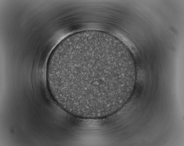 X0000116780836200912311856