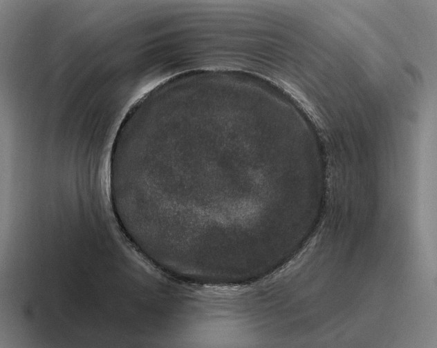 X0000116780840200912311856