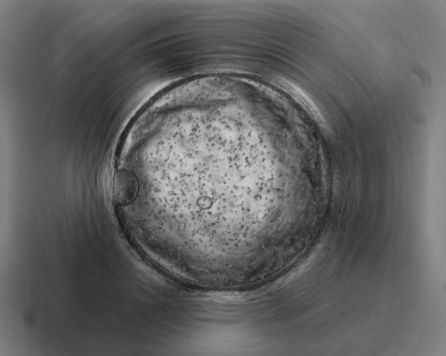 X0000116780844200912311856