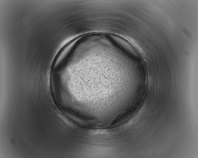X0000116780846200912311856
