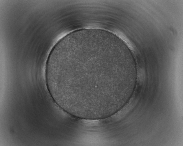 X0000116780856200912311856