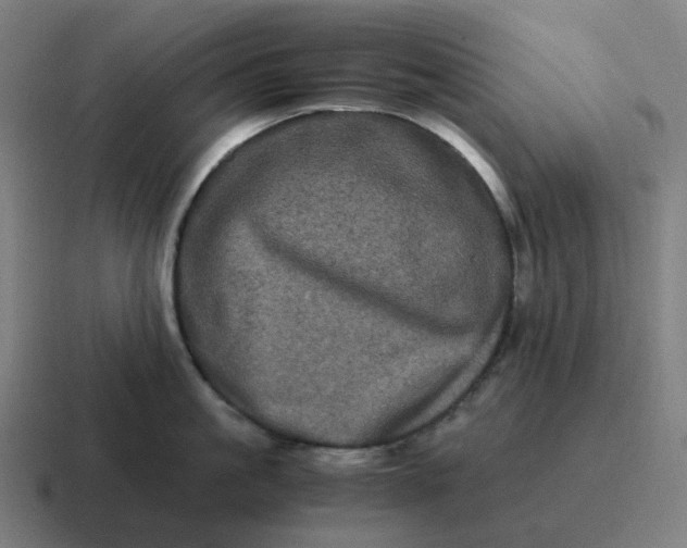 X0000116780861200912311856