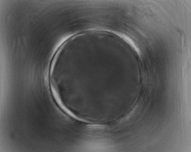 X0000116780863200912311856