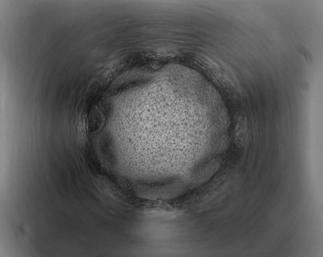X0000116780866200912311855