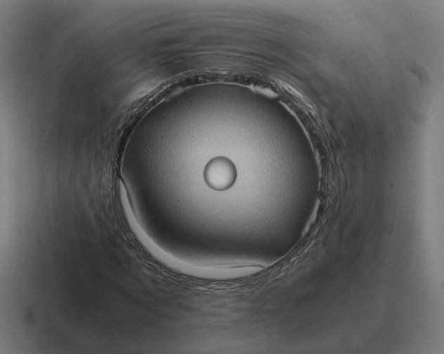 X0000116780869200912311855