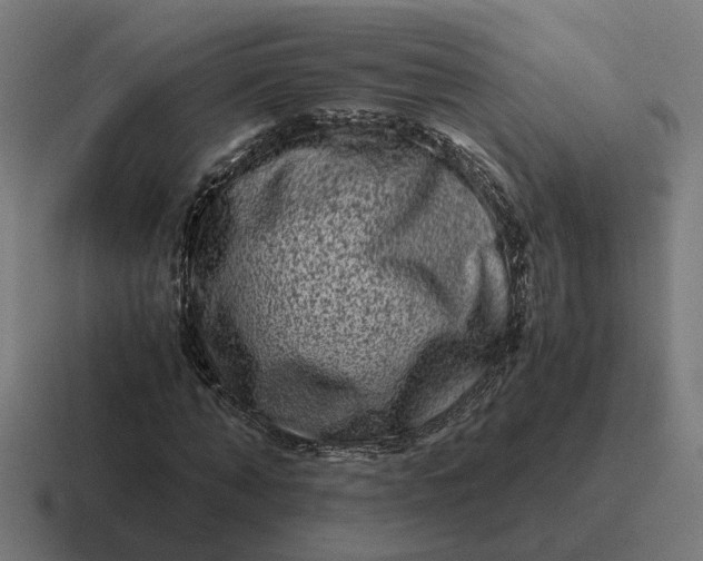 X0000116780870200912311855