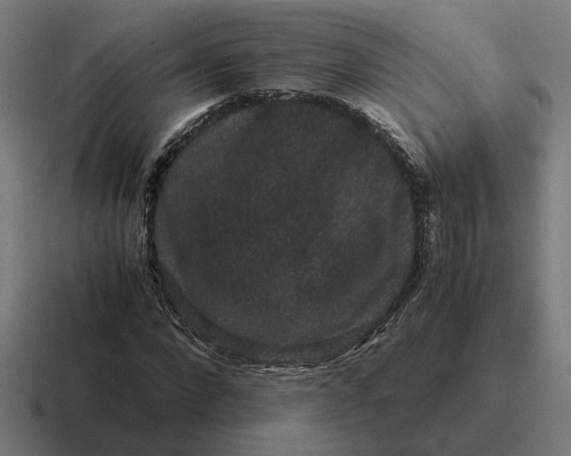 X0000116780872200912311855