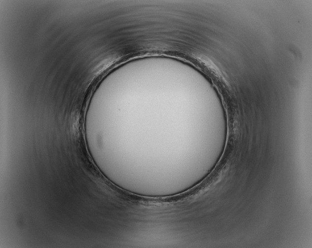 X0000116780873200912311855