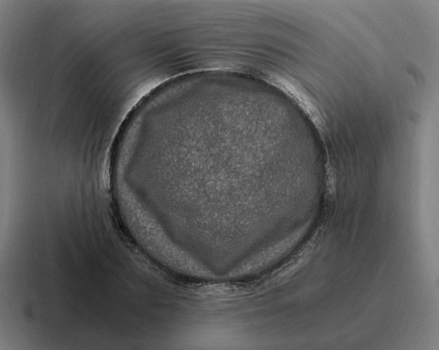 X0000116780883200912311855