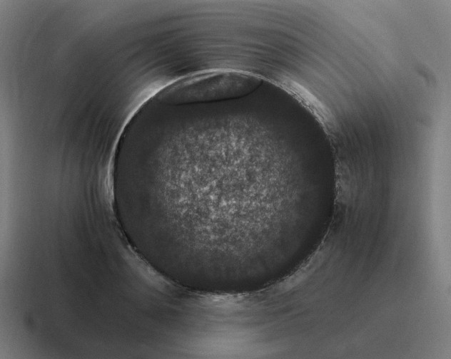 X0000116780892200912311855