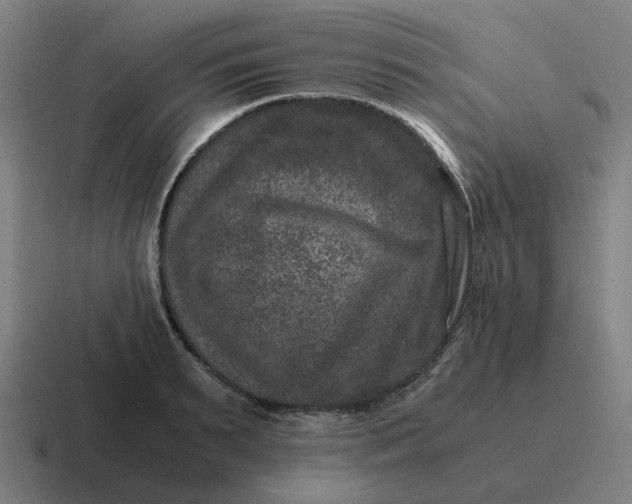 X0000116780895200912311855