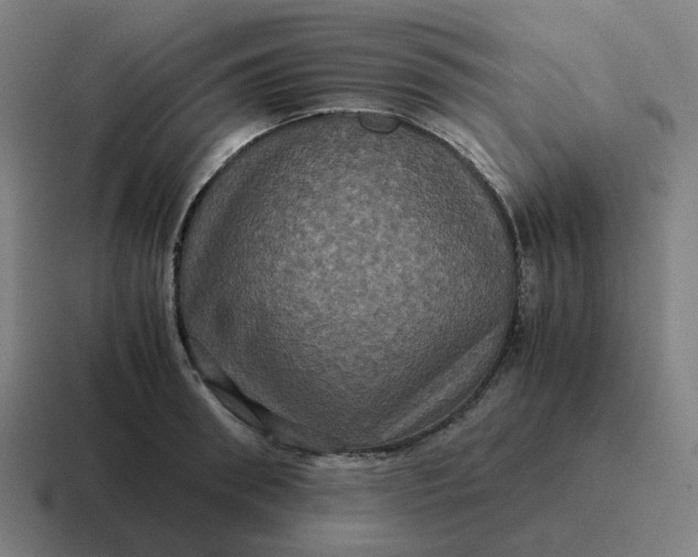 X0000116780898200912311855
