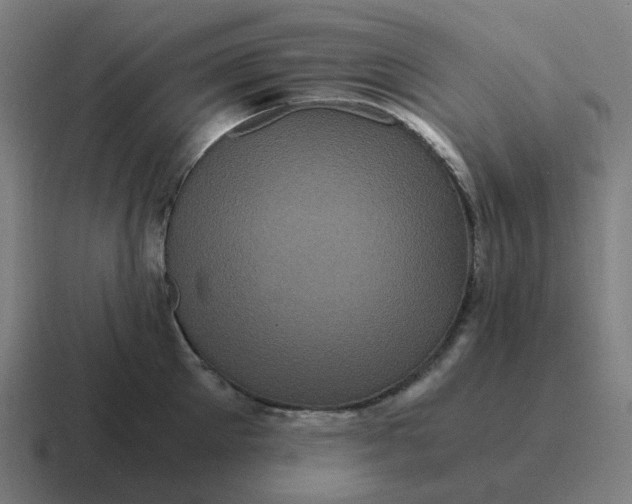 X0000116780905200912311855
