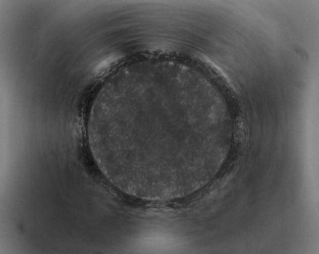 X0000116780918200912311854