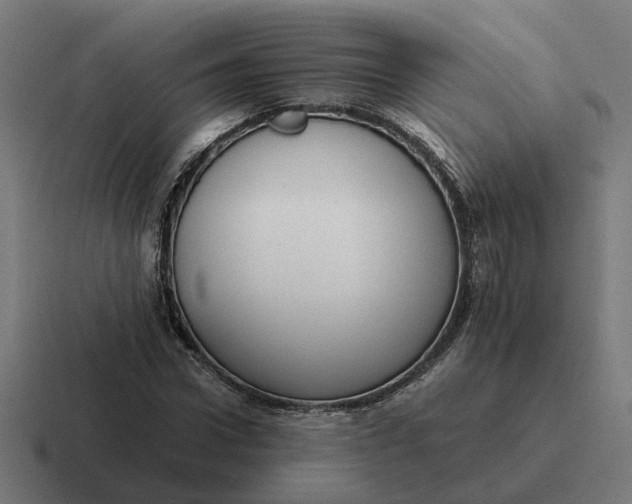 X0000116780922200912311854