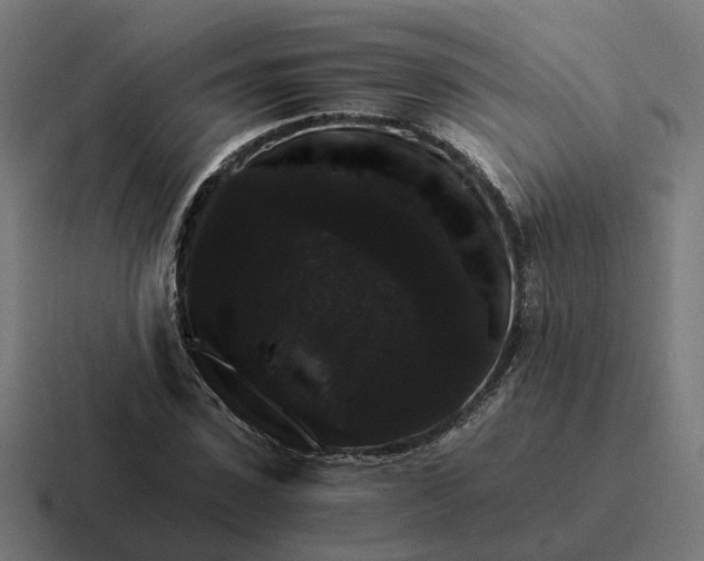 X0000116780923200912311854
