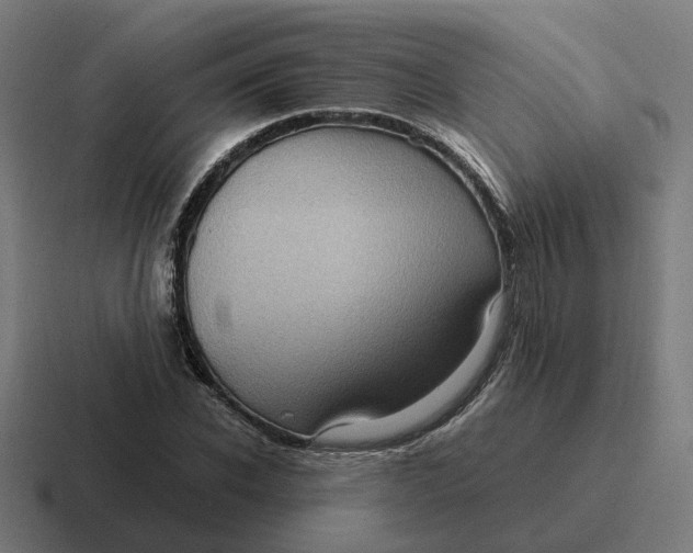 X0000116780926200912311854