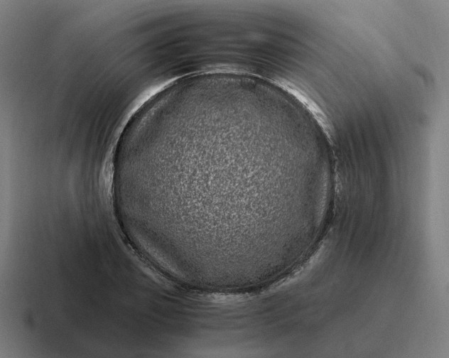 X0000116780933200912311854