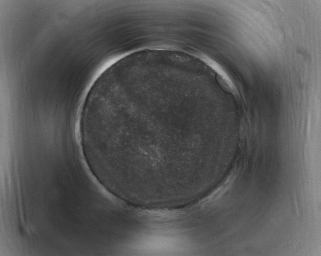X0000116780959200912311855
