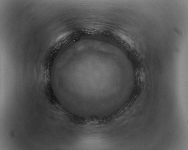 X0000116780965200912311854