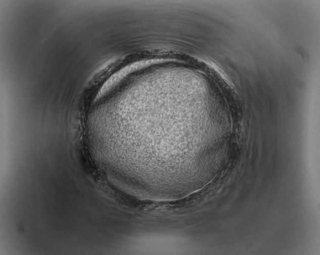X0000116780967200912311854
