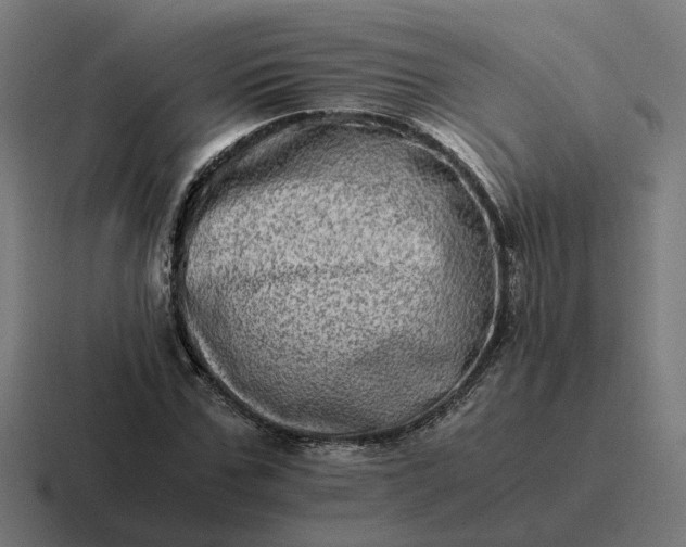 X0000116780971200912311854