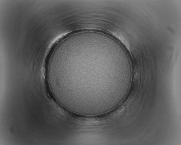 X0000116780979200912311854