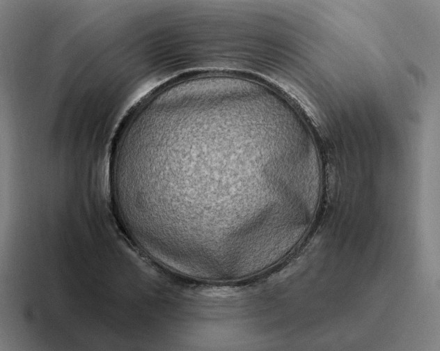 X0000116780982200912311854
