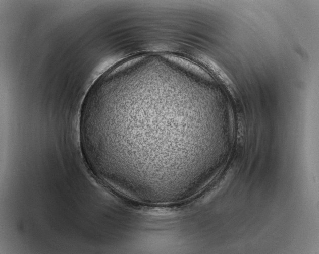 X0000116780986200912311854