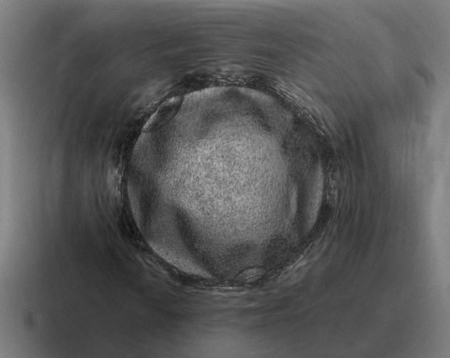 X0000116781010200912311853