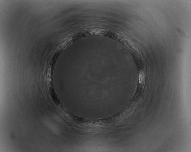 X0000116781011200912311853