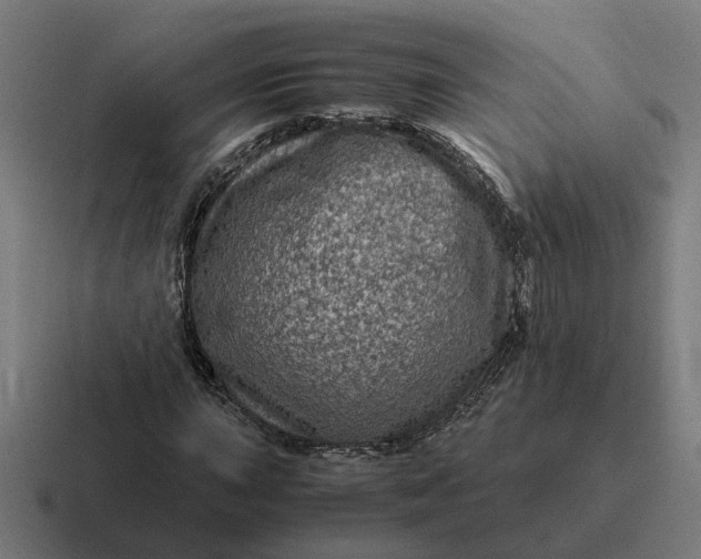 X0000116781015200912311853