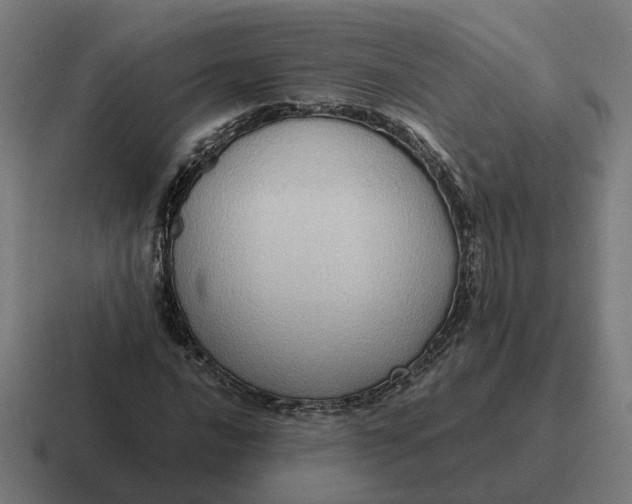 X0000116781016200912311853