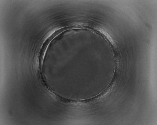 X0000116781023200912311853