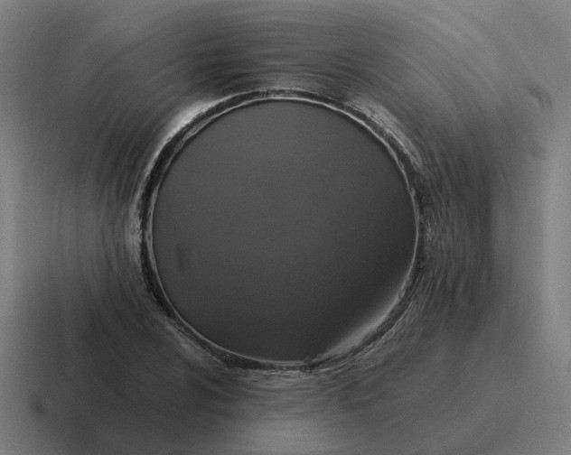 X0000116781024200912311853