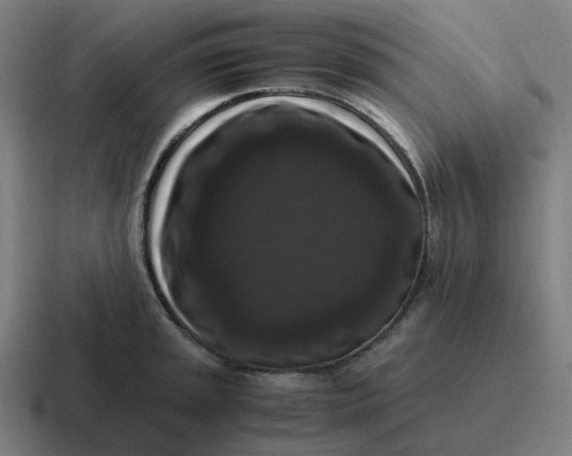 X0000116781045200912311853