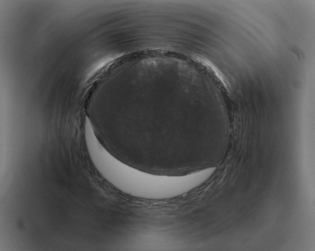 X0000116781064200912311853