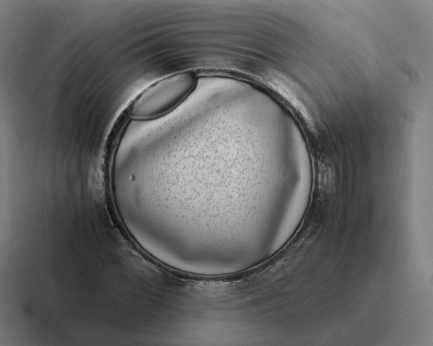 X0000116781068200912311853