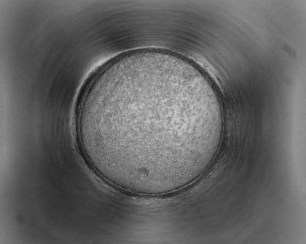 X0000116781072200912311853