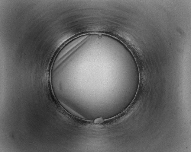 X0000116781073200912311853