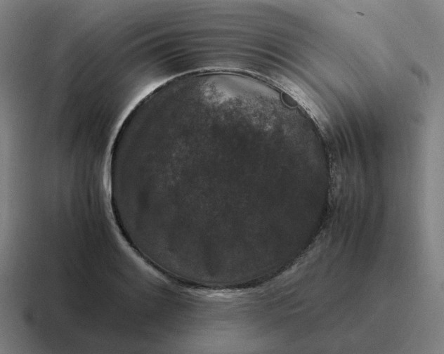 X0000116781084200912311853