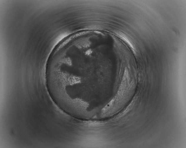 X0000116781087200912311853