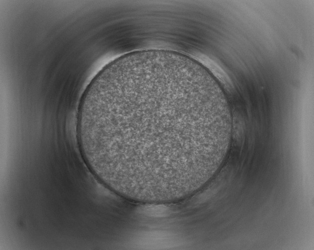 X0000116781094200912311853