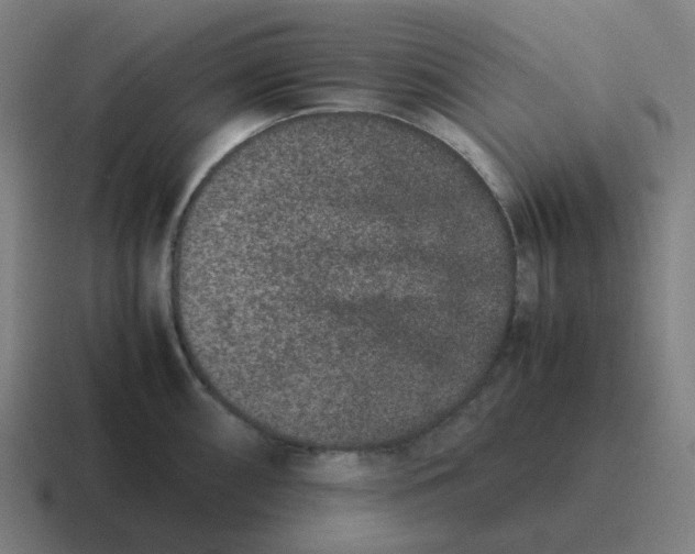 X0000116781098200912311852