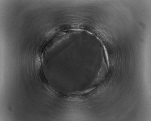 X0000116781106200912311852