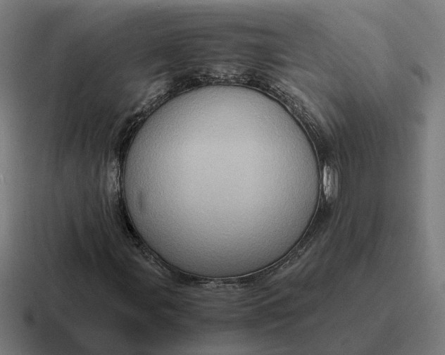 X0000116781107200912311852