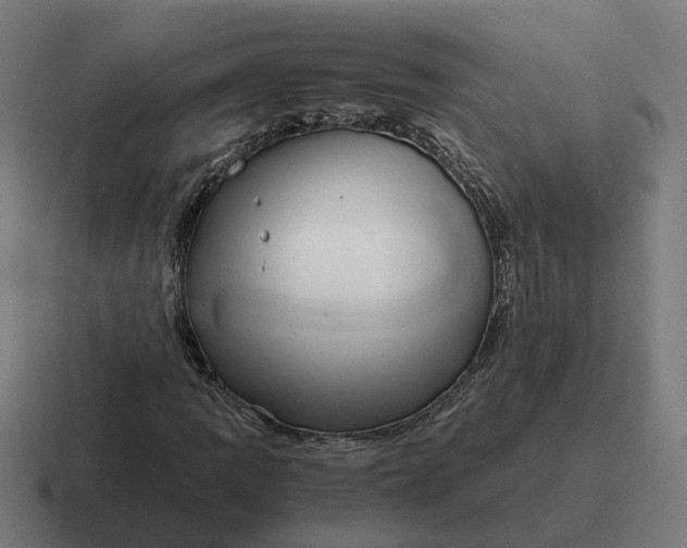 X0000116781109200912311852
