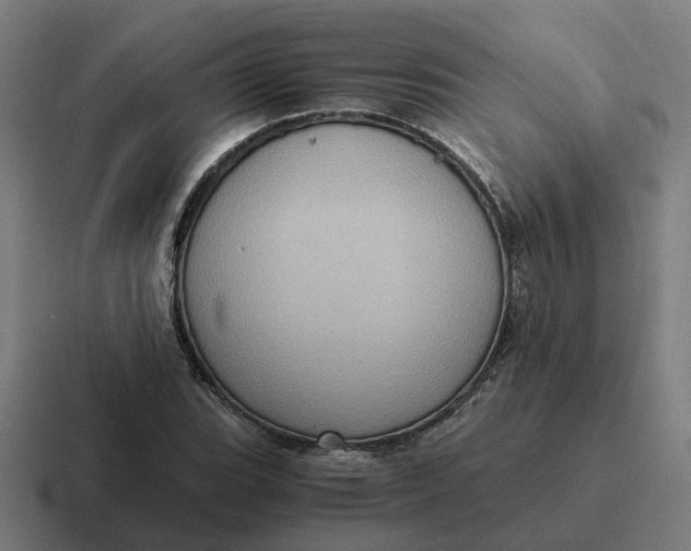 X0000116781119200912311852